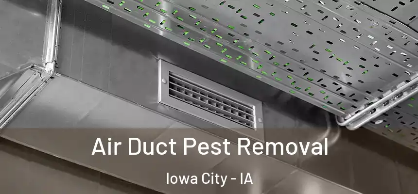 Air Duct Pest Removal Iowa City - IA