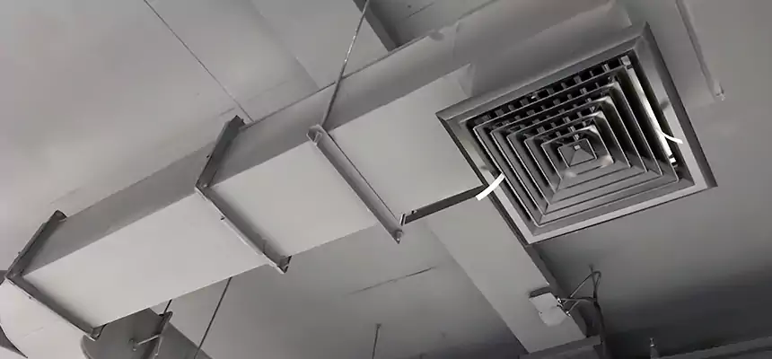 Restorative Allergy Relief Vent Cleaning – Coil, Blower & Housing Detail in Iowa City