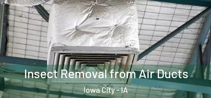 Insect Removal from Air Ducts Iowa City - IA