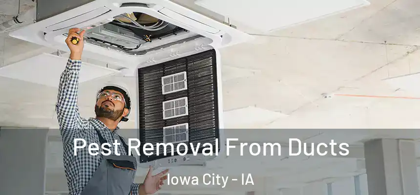 Pest Removal From Ducts Iowa City - IA