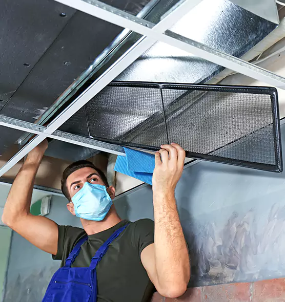 About Air Duct Bacteria Removal in Iowa City