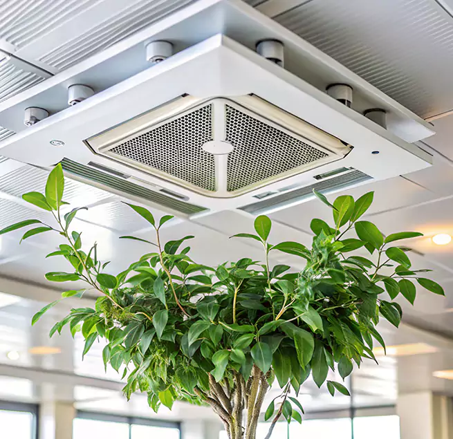 Why Homeowners & Businesses Trust Us in Iowa City, IA