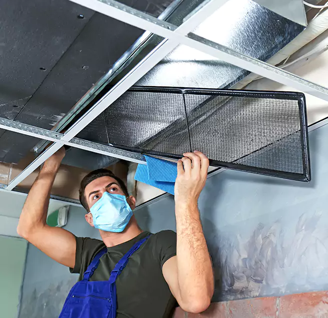 Why Homeowners Businesses Trust Us in Iowa City, IA?